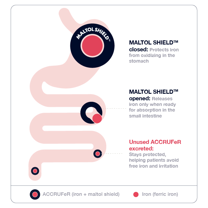 ACCRUFeR method of action